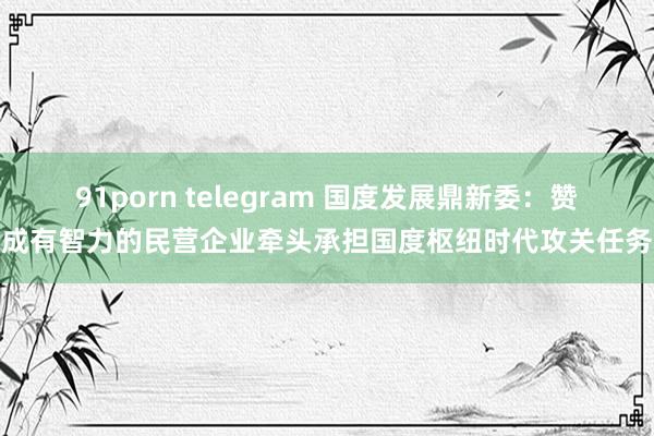 91porn telegram 国度发展鼎新委：赞成有智力的民营企业牵头承担国度枢纽时代攻关任务