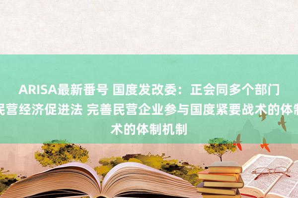 ARISA最新番号 国度发改委：正会同多个部门制定民营经济促进法 完善民营企业参与国度紧要战术的体制机制