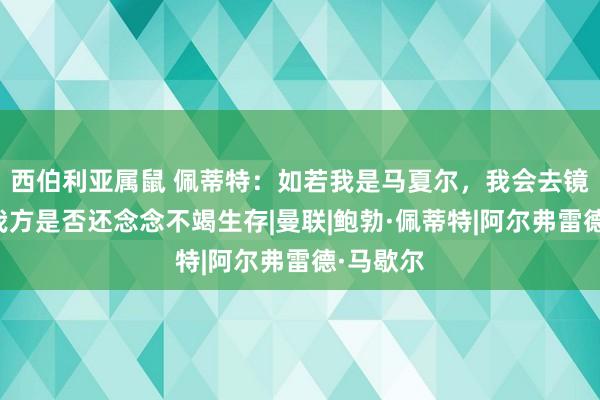 西伯利亚属鼠 佩蒂特：如若我是马夏尔，我会去镜子前问我方是否还念念不竭生存|曼联|鲍勃·佩蒂特|阿尔弗雷德·马歇尔